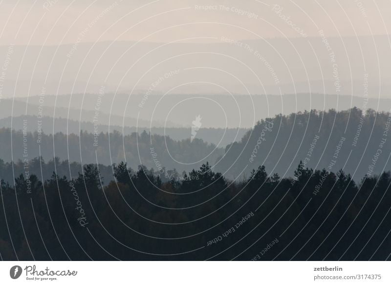 Sächsische Schweiz Berge u. Gebirge Nebel Dunst Elbsandsteingebirge Erholung Felsen Ferien & Urlaub & Reisen Ferne Herbst Horizont Hügel Landschaft Laubwald