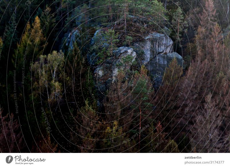 Fliegen über dem Polenztal Berge u. Gebirge Elbsandsteingebirge Erholung Felsen Ferien & Urlaub & Reisen Reisefotografie Herbst hohnstein Hügel Kleinstadt