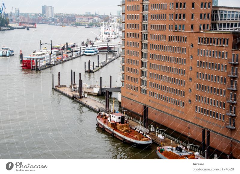 Überblick | UT Hamburg Elbe Hamburger Hafen Hafenstadt Fassade Schifffahrt Aussicht groß braun rot fleißig Fernweh Horizont Lebensfreude Stadt Tag