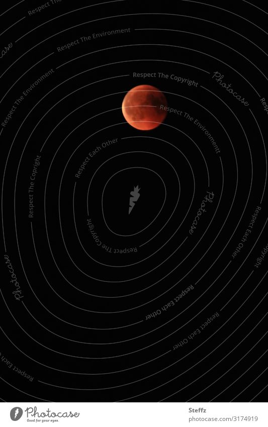 der Mond ist rot Blutmond Mondfinsternis Vollmond Mondschein Mondaufgang Mondlicht Mondnacht Nachthimmel Mondbeobachtung ungewöhnlich leuchten Romantik