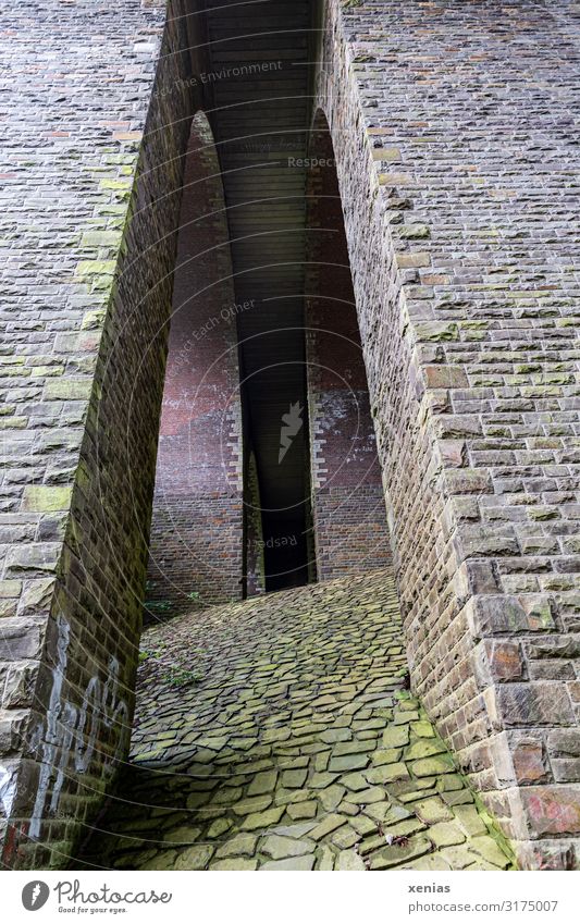 Brückenpfeiler mit Schwung Bauwerk Bogen Architektur Moos Bergisches Land Tor Stein groß hoch rund gemauert geschwungen Außenaufnahme Weitwinkel Mauer xenias