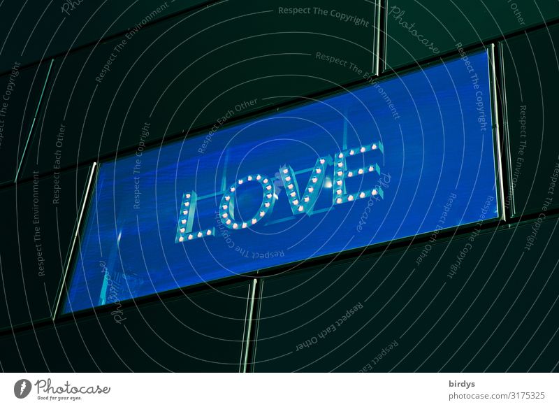 digital love Fassade Fenster Leuchtdiode Schriftzeichen leuchten authentisch außergewöhnlich modern positiv Stadt blau gelb schwarz Liebe Lust Sex Sehnsucht