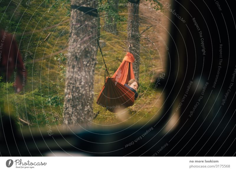 just sneaking upon trees and leaves Freizeit & Hobby Ferien & Urlaub & Reisen Tourismus Ausflug Abenteuer Freiheit Camping Wald Zufriedenheit Einsamkeit