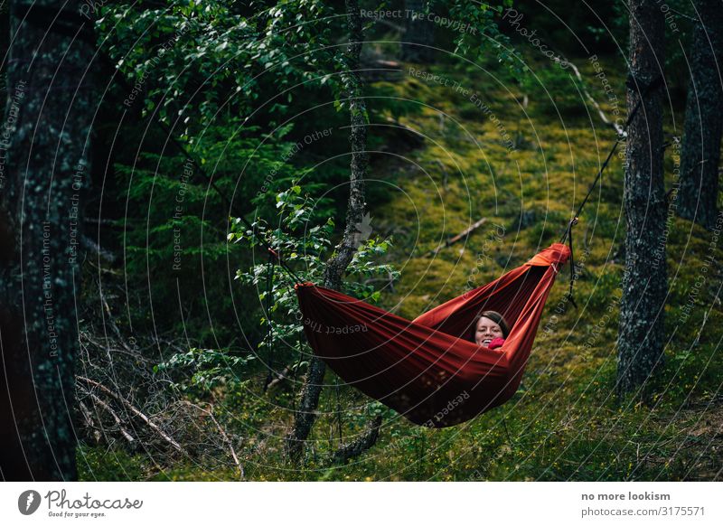 no trees, no hammock Umwelt Natur Landschaft Pflanze Klima Klimawandel Moos Wald atmen genießen hängen schaukeln schlafen träumen nachhaltig natürlich