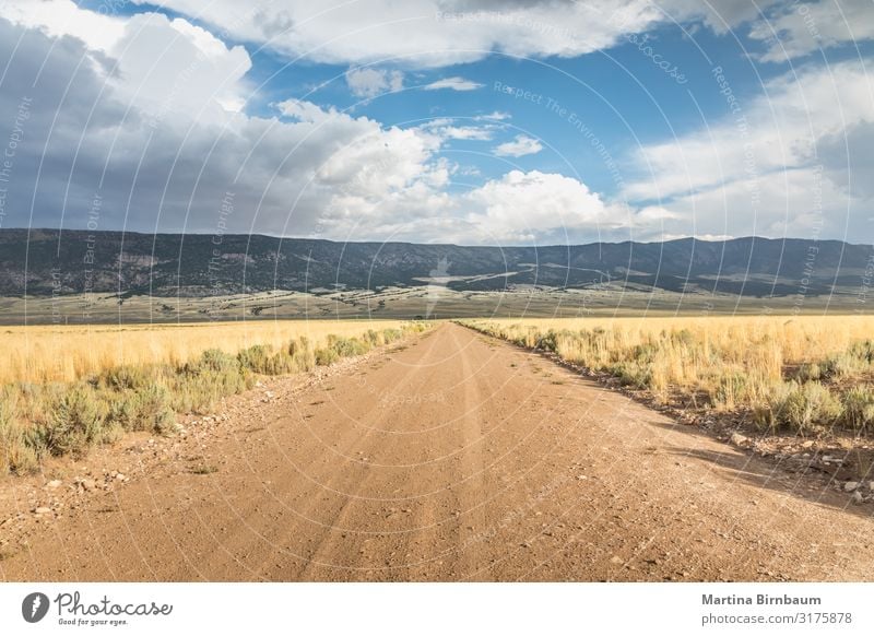 Lange gerade Schotterstraße in Utah mit dramatischen Wolken Dessert Ferien & Urlaub & Reisen Ausflug Freiheit Sommer Berge u. Gebirge Tapete Natur Landschaft