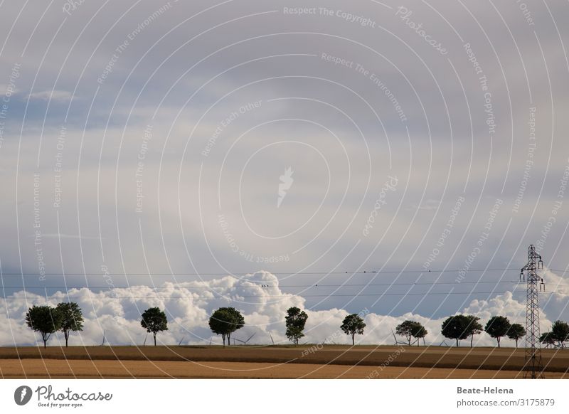 Energie-Parade Ferien & Urlaub & Reisen Ausflug Abenteuer Energiewirtschaft Umwelt Natur Himmel Wolken Klima Wetter Straße Windkraftanlage Rotor