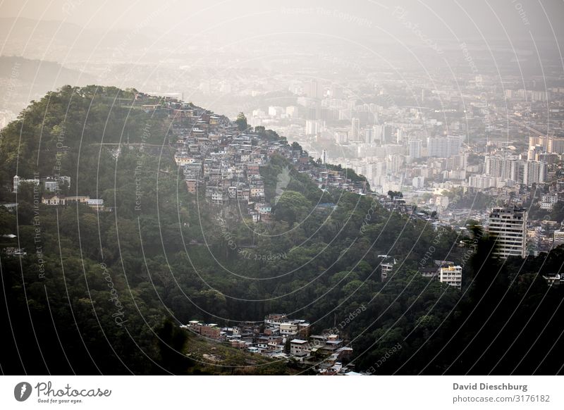 Favela in der Stadt Ferien & Urlaub & Reisen Tourismus Städtereise Landschaft Schönes Wetter Pflanze Stadtzentrum Stadtrand überbevölkert Haus Hütte Armut