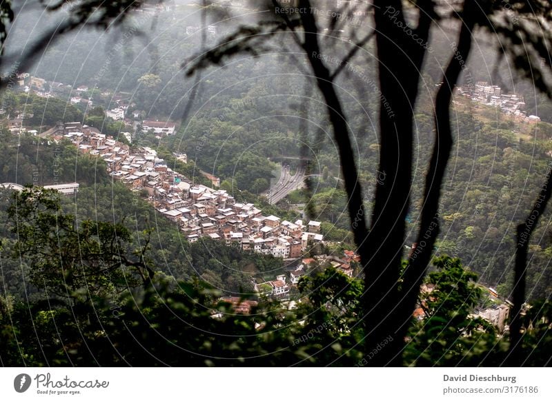 Favela Ferien & Urlaub & Reisen Städtereise Natur Landschaft Pflanze Baum Stadt Stadtrand überbevölkert Haus Hütte Armut Reichtum Häusliches Leben Brasilien