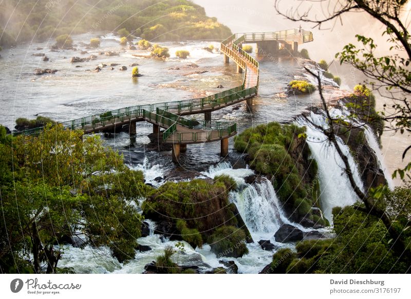 Morgens alleine am Iguazu Ferien & Urlaub & Reisen Tourismus Abenteuer Sightseeing Expedition Natur Landschaft Pflanze Tier Wasser Frühling Sommer