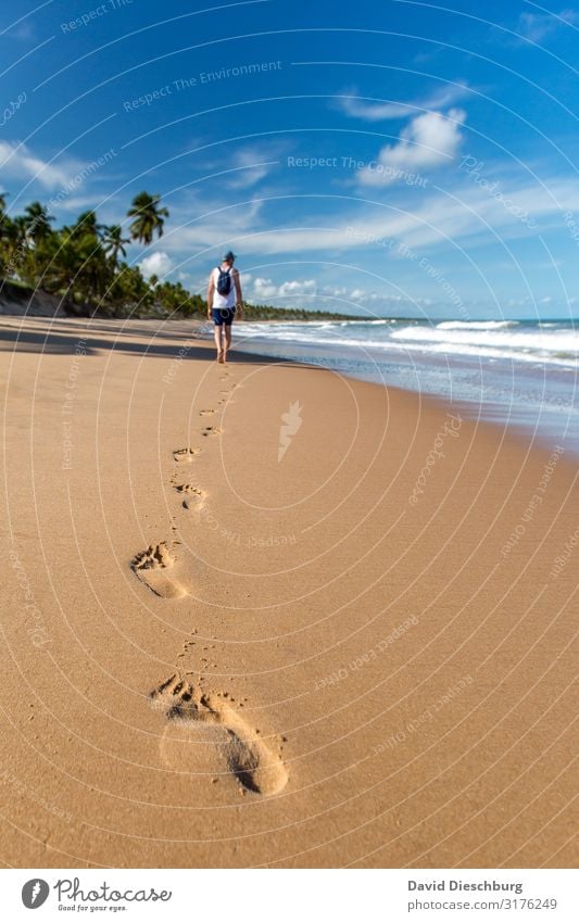 Spuren im Sand Ferien & Urlaub & Reisen Tourismus Abenteuer Ferne Sommerurlaub Sonnenbad Natur Landschaft Pflanze Tier Himmel Wolken Schönes Wetter Wellen Küste