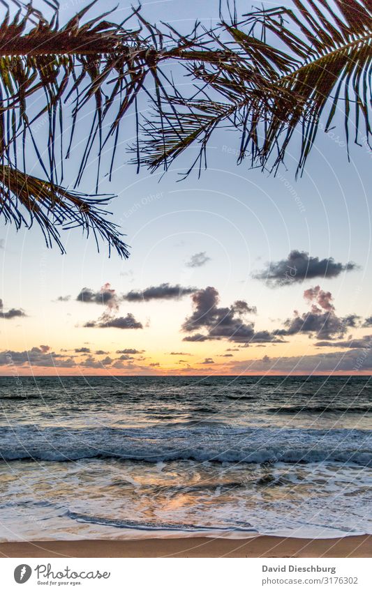 Küste von Bahia Ferien & Urlaub & Reisen Ferne Sommerurlaub Sonnenbad Natur Landschaft Himmel Wolken Frühling Schönes Wetter Pflanze Wellen Strand Bucht Meer