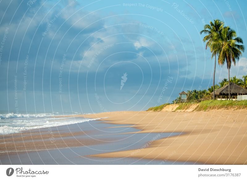 Sandstrand Ferien & Urlaub & Reisen Tourismus Ferne Sommerurlaub Sonnenbad Natur Landschaft Himmel Wolken Frühling Schönes Wetter Wellen Küste Strand Meer Insel