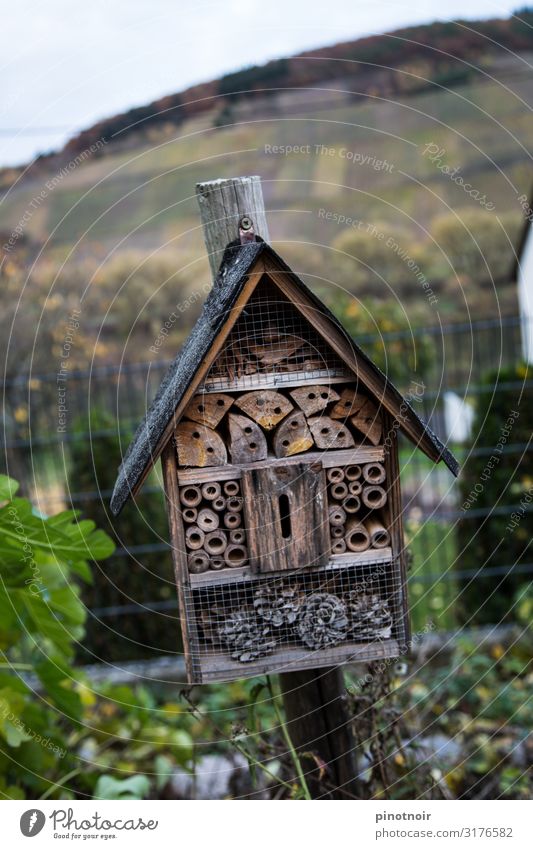 Insektenhotel Basteln heimwerken Wohnung Haus Hausbau Umzug (Wohnungswechsel) Innenarchitektur Umwelt Natur Tier Garten Hütte Dach Wildtier Käfer Spinne Holz