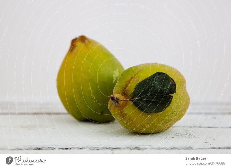 Quitten Lebensmittel Frucht Ernährung Bioprodukte Design Gesundheit Häusliches Leben Garten Bett Tisch Essen Erntedankfest Landwirtschaft Forstwirtschaft Natur