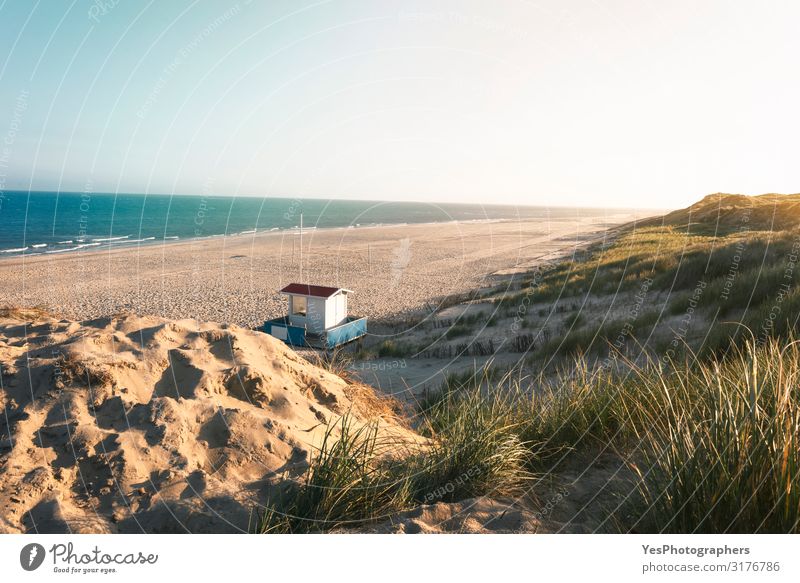 Sommerstrand und Dünenlandschaft. Sonniger Strandtag an der Nordsee Ferien & Urlaub & Reisen Sommerurlaub Natur Landschaft Sand Klimawandel Schönes Wetter Hügel