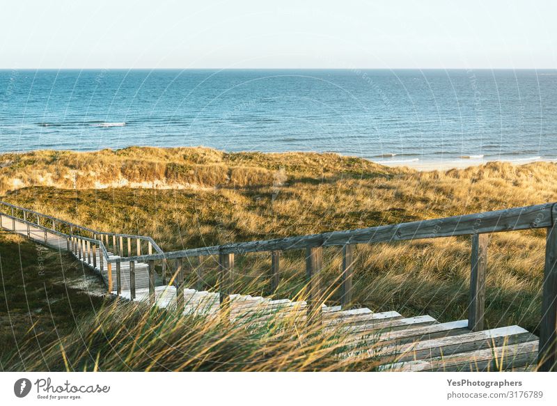 Holztreppe durch Dünen und Gras auf der Insel Sylt zum Meer Ferien & Urlaub & Reisen Sommer Sommerurlaub Strand Landschaft Sand Sonnenlicht Moos Küste Nordsee