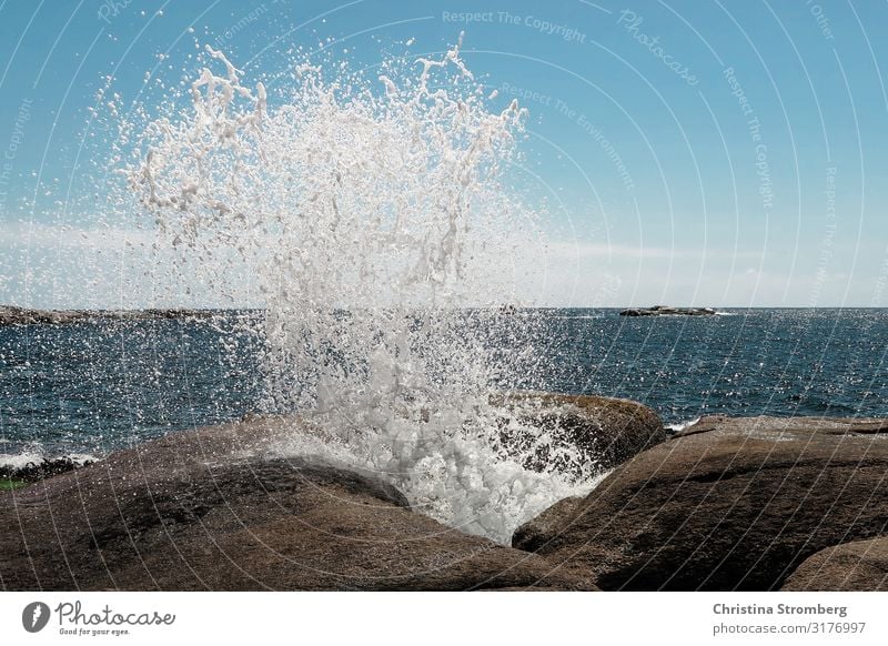 Die Gischt Wasser Wellen Meer Strand Küste Brandung Felsen Außenaufnahme blau Natur Himmel Horizont Urelemente Landschaft Wellengang Sommer Tasmanien Wasserloch