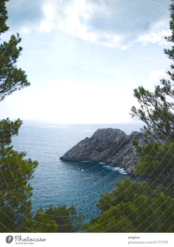 Weitblick Erholung ruhig Tourismus Ausflug Ferne Sommer Sommerurlaub Meer Insel Wellen Natur Landschaft Luft Wasser Himmel Wolken Baum Sträucher Wildpflanze