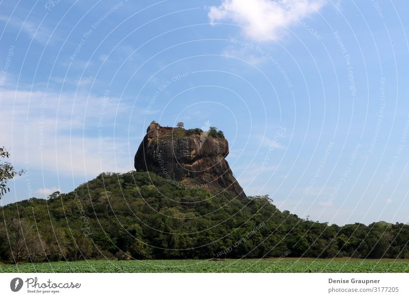 The Lion Rock on Sri Lanka UNESCO World Heritage Site Ferien & Urlaub & Reisen Tourismus Expedition Umwelt Natur Landschaft Klima Schönes Wetter Mauer Wand