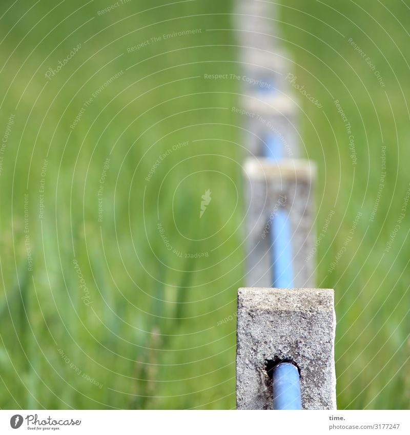 Geschichten vom Zaun (V) Schönes Wetter Wiese Barriere Zaunpfahl Beton Metall Linie Freundlichkeit hell historisch grün Sicherheit Schutz diszipliniert Ausdauer