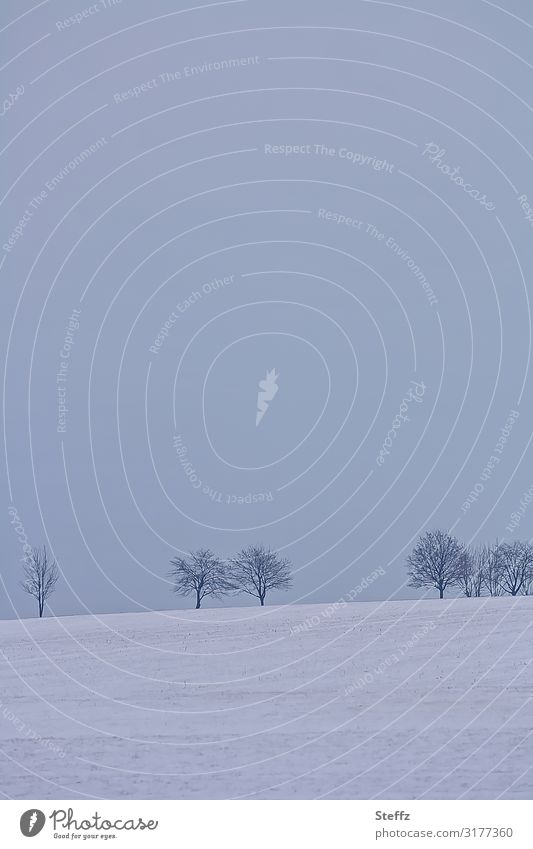 winterliche Stille Schneelandschaft Winterlandschaft Februar Frost Ruhe Winterhimmel Winterstimmung winterliche Kälte verträumte Landschaft winterliche Ruhe