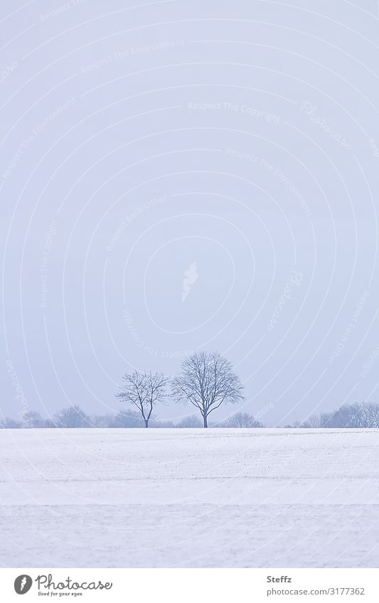 ein Wintertag Winterstille Schneelandschaft winterlich Wintertraum Winterstimmung Schneedecke Kälteeinbruch winterliche Stille Wintereinbruch winterliche Kälte