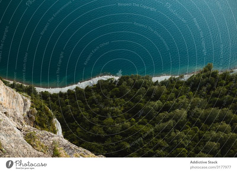 Blick auf Wald und Meer von der Klippe aus Küste grün Landschaft Wasser Aussicht blau Felsen Paradies Baum Umwelt Rippeln harmonisch Idylle ruhig Gelassenheit