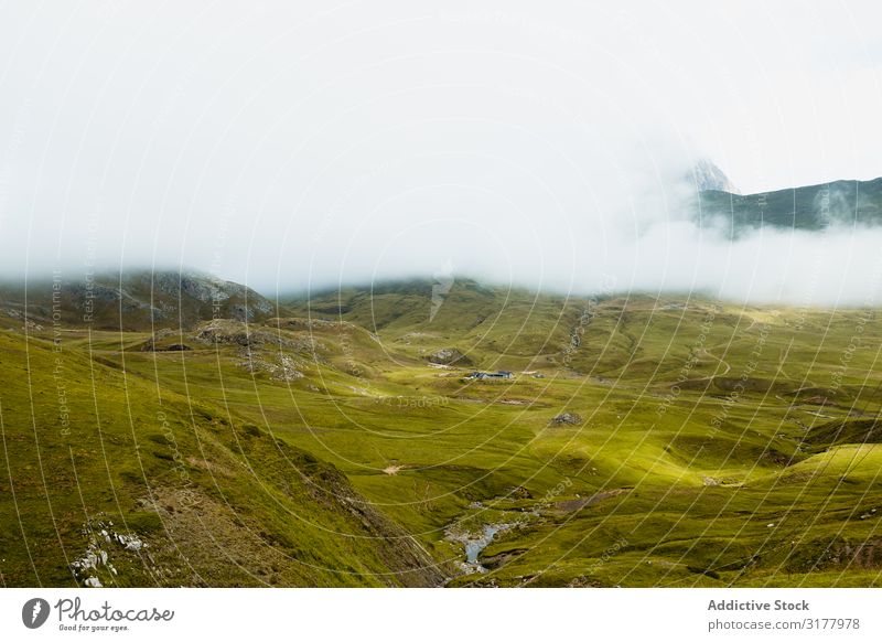 Nebel über wunderschönes hügeliges Gelände Hügel Natur Landschaft Ferien & Urlaub & Reisen Ausflug grün rau Tourismus Umwelt Wetter dick Berge u. Gebirge Düne