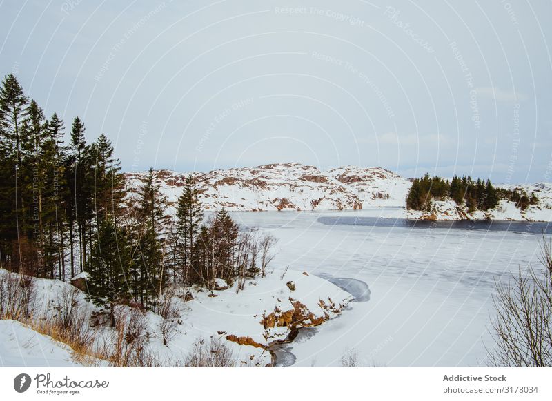 Bach im schönen verschneiten Wald Schnee Frühling kalt Landschaft Natur Baum Wasser strömen Aussicht Umwelt Winter Jahreszeiten harmonisch Idylle ruhig