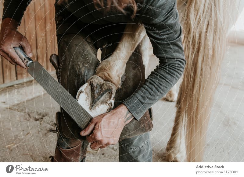 Mann beschuht Pferd in der Nähe des Stalls Hufschmied Hufeisen Pferdestall Ranch Hammer anmachend Arbeit & Erwerbstätigkeit Werkzeug Eisen Tier Gerät Beruf