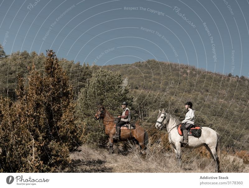 Anonyme Menschen auf Pferden im Bach Reiten Landschaft Herbst Schulunterricht Pferderücken Wasser ruhig Natur Sport Reiterin Lifestyle Erholung heimisch