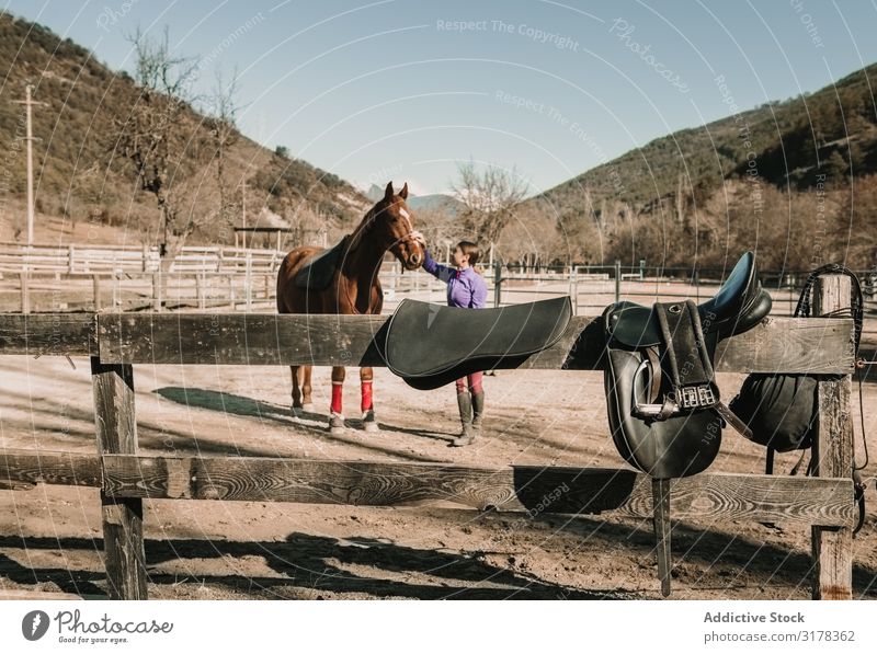 Frau streichelt Pferd auf der Ranch Streicheln Schulunterricht Pferderücken Reiten Tier Liebe Jugendliche Glück Haustier Reiterin Hengst Stute Sonnenstrahlen