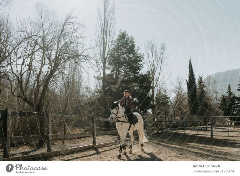 Kleines Mädchen Reitpferd im Gehege Pferd Reiten Ranch Schulunterricht Herbst Erholung Sport Reiterin Lifestyle Kind Pferderücken Reitsport Schule Hengst Stute