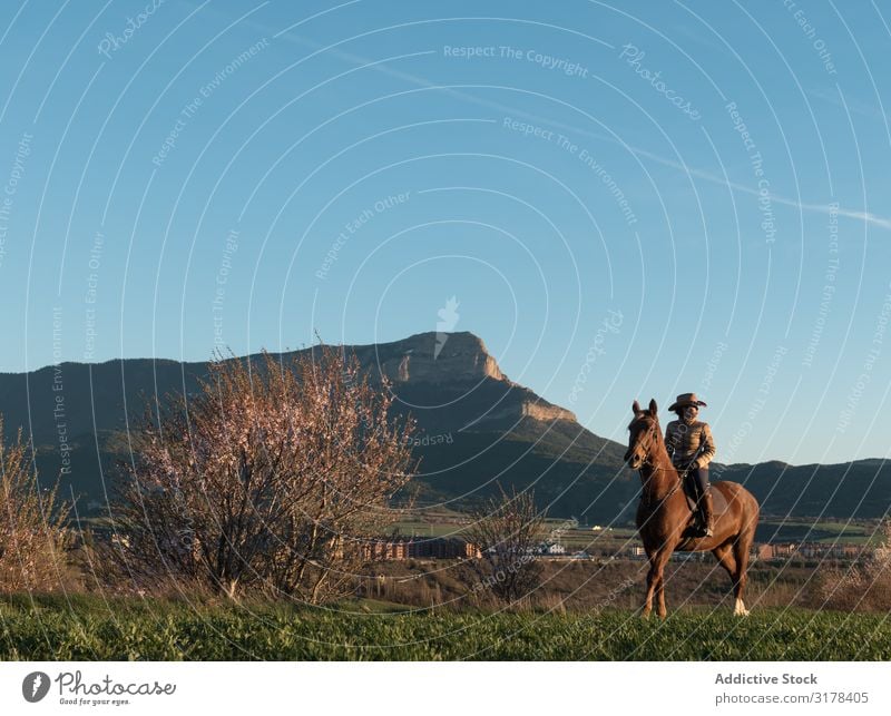 Frau zu Pferd im Feld Wegsehen Landschaft Reiter Natur Himmel Schönes Wetter blau Sonnenstrahlen Tag Lifestyle Freizeit & Hobby Freiheit Jugendliche Tier