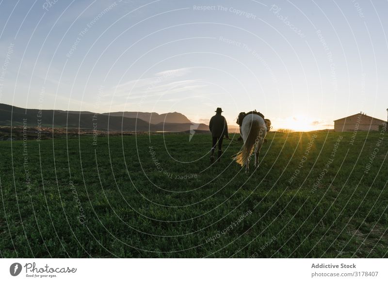 Alter Mann zu Pferd auf dem Feld alt Landschaft Reiter Natur Himmel Schönes Wetter blau Frau Sonnenstrahlen Tag Lifestyle Freizeit & Hobby Freiheit Jugendliche