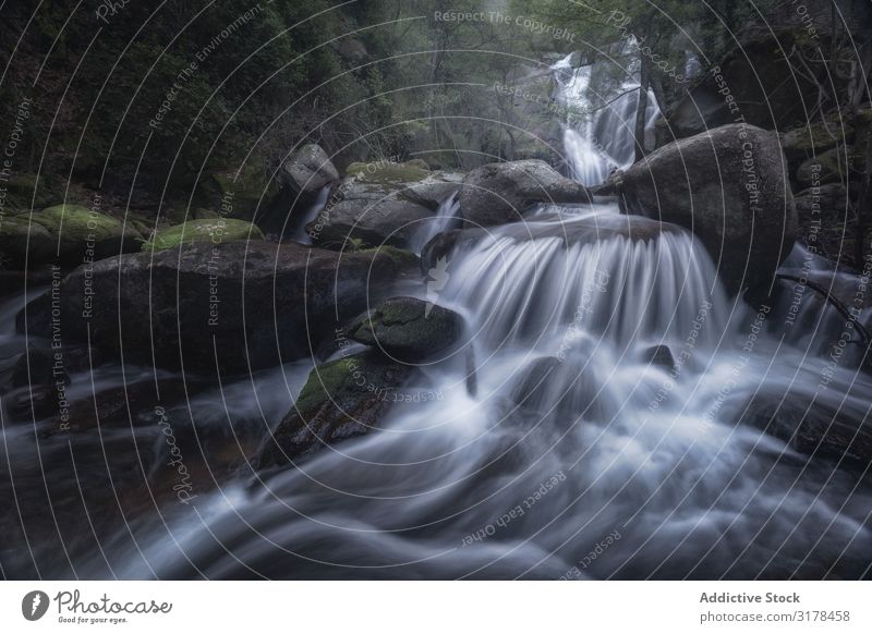 Majestätischer Wildwasserfall auf Felsen Wasserfall Natur Langzeitbelichtung Wald Landschaft frisch platschen Bewegung Ferien & Urlaub & Reisen strömen Fluss