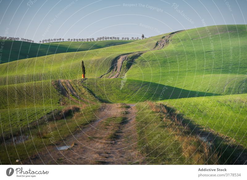 Wunderschöne leere grüne Felder Panorama (Bildformat) Toskana Mittelgebirge Italien Unendlichkeit Gras Hügel Landschaft Natur Länder Jahreszeiten Sommer Wiese