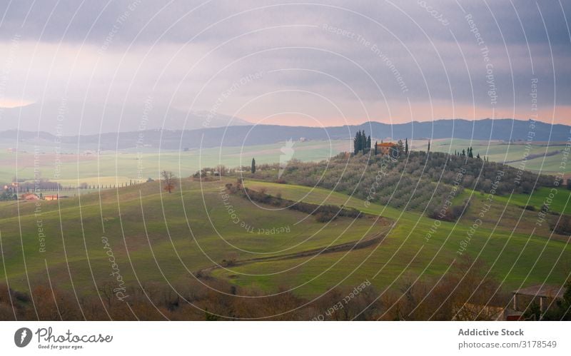 Erstaunliches grünes Tal mit Bergen Berge u. Gebirge Italien Toskana Feld Landschaft Natur majestätisch Panorama (Bildformat) Ferien & Urlaub & Reisen Sommer