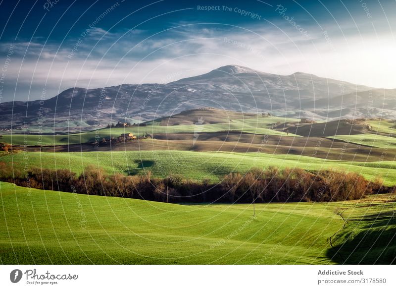 Wunderschöne leere grüne Felder Panorama (Bildformat) Toskana Mittelgebirge Italien Unendlichkeit Gras Hügel Landschaft Natur Länder Jahreszeiten Sommer Wiese