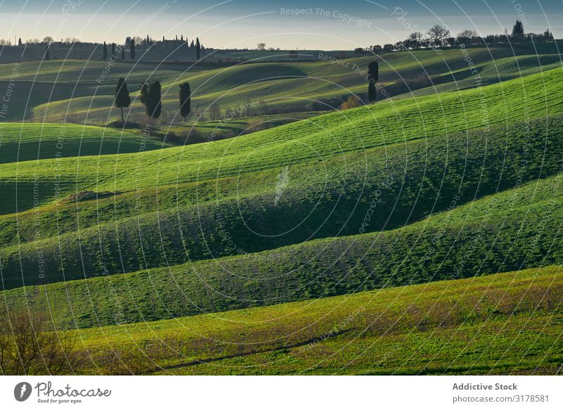 Wunderschöne leere grüne Felder Panorama (Bildformat) Toskana Mittelgebirge Italien Unendlichkeit Gras Hügel Landschaft Natur Länder Jahreszeiten Sommer Wiese