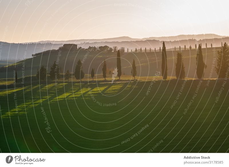 Wunderschöne leere grüne Felder Panorama (Bildformat) Toskana Mittelgebirge Italien Unendlichkeit Gras Hügel Landschaft Natur Länder Jahreszeiten Sommer Wiese