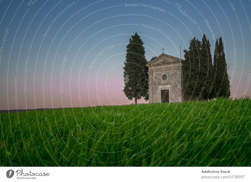 Einzelne Kapelle zwischen Bäumen auf dem Feld Architektur Toskana Italien Sonnenuntergang Landschaft Natur schön Gebäude abgelegen ausleeren gold ruhig Frieden