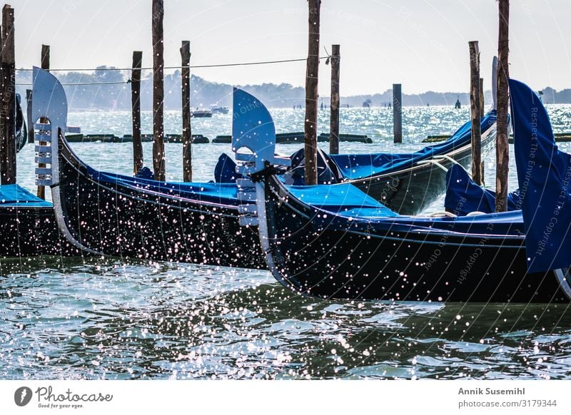 Gondeln in Venedig im Markusbecken Ferien & Urlaub & Reisen Tourismus Ausflug Sightseeing Städtereise Kreuzfahrt Wasser Wassertropfen Klima Klimawandel Wellen