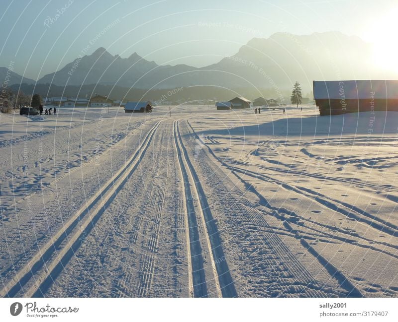 Wintersportmärchen... Sport Skilanglauf Loipe Landschaft Wolkenloser Himmel Sonnenaufgang Sonnenuntergang Sonnenlicht Schönes Wetter Schnee Alpen