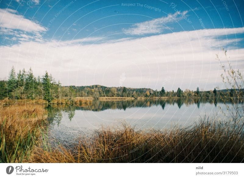 Eissee bei Icking nahe der Isar Landschaft Bayern Oberbayern Farbfoto Außenaufnahme Idylle Schönes Wetter Panorama (Aussicht) Textfreiraum oben Natur Kontrast