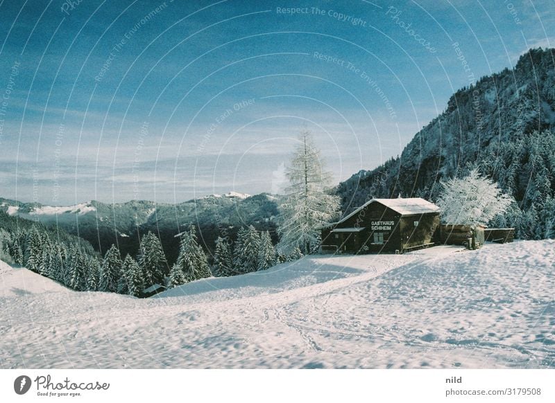 Winterlandschaft in den Alpen Skigebiet geschlossen kalt textfreiraum Landschaft Schnee Wetter Menschenleer Außenaufnahme Einsamkeit Tourismus Skifahren