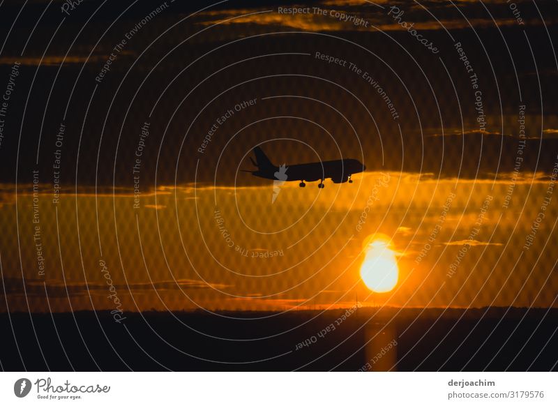 Sonnenaufgang am Flughafen. Eine Maschine im Landanflug, Freude Erholung Ausflug Umwelt Himmel Sonnenuntergang Herbst Schönes Wetter Frankfurt am Main Hessen