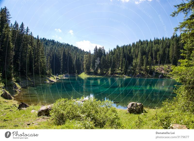 Seenlandschaft im Trentino Südtirol Erholung ruhig Freizeit & Hobby Sommer Natur Landschaft Wasser Baum Berge u. Gebirge Stein schön blau Abenteuer Italien