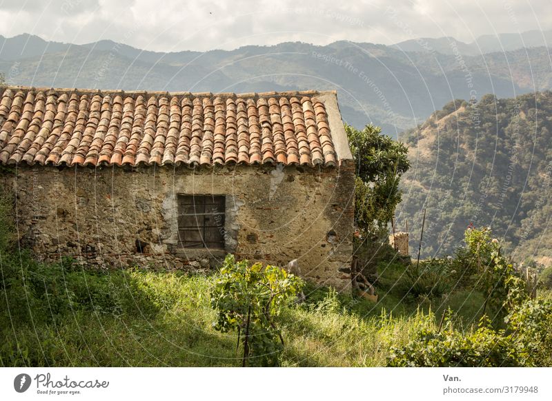 Häusle Natur Landschaft Himmel Gras Sträucher Garten Wiese Hügel Berge u. Gebirge Sizilien Italien Dorf Hütte Mauer Wand Fenster Dach authentisch schön Wärme