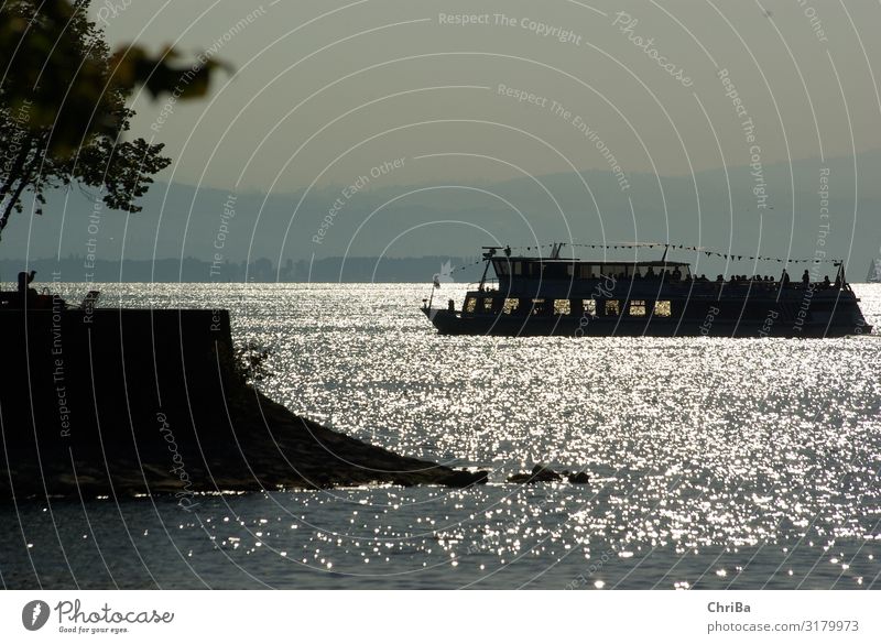 Bodensee am Abend Lifestyle Tourismus Ausflug Abenteuer Ferne Freiheit Sommer Wellen Berge u. Gebirge Natur Wolkenloser Himmel Seeufer Bucht Schifffahrt